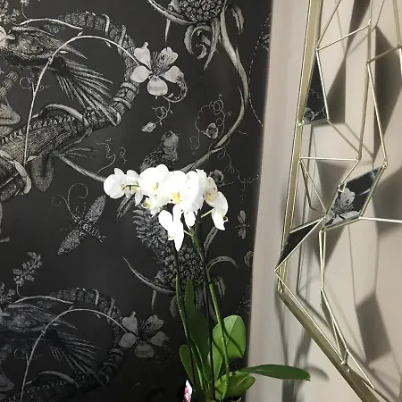Lippi 42 With Private Garden Nocleg ze śniadaniem *
