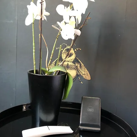 Lippi 42 With Private Garden Frühstückspension